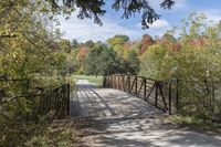 a wooden bridge over a paved path in the autumntime with fall foliage and a path winding through it