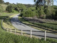 Lush Pastures in the Rural Landscape of California