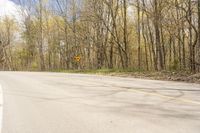 a yellow and white sign by the road in the woods next to trees and bushes