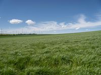 Lush Rural Landscape in Germany: A Tranquil Scene