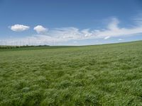 Lush Rural Landscape in Germany: A Tranquil Scene