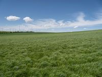 Lush Rural Landscape in Germany: A Tranquil Scene