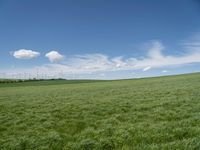 Lush Rural Landscape in Germany: A Tranquil Scene