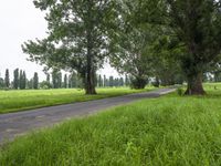 a paved road in the middle of a field filled with trees and grass near some hills