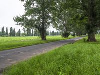 a paved road in the middle of a field filled with trees and grass near some hills