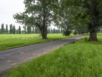 a paved road in the middle of a field filled with trees and grass near some hills