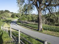 Lush Spring Landscape in California