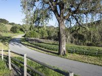 Lush Spring Landscape in California