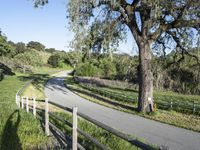 Lush Spring Landscape in California