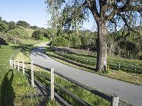 Lush Spring Landscape in California