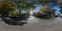 a 360 - lens panorama of an intersection near some trees and houses with leaves in the sidewalk