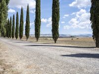 Lush Tuscany Landscape: Trees and Clouds