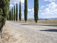 Lush Tuscany Landscape: Trees and Clouds