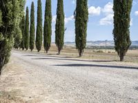 Lush Tuscany Landscape: Trees and Clouds