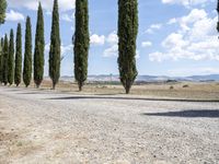 Lush Tuscany Landscape: Trees and Clouds