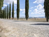 Lush Tuscany Landscape: Trees and Clouds