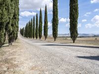 Lush Tuscany Landscape: Trees and Clouds