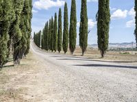 Lush Tuscany Landscape: Trees and Clouds