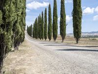 Lush Tuscany Landscape: Trees and Clouds