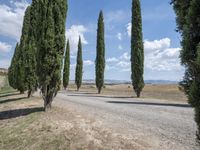 Lush Tuscany Landscape: Trees and Clouds