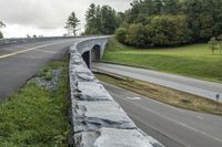 Lush Vegetation Along Asphalt Road