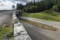 Lush Vegetation Along Asphalt Road