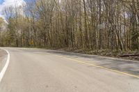 a wide open road with tall trees and no cars on it, with a traffic sign at the center