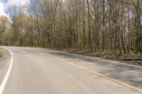 a wide open road with tall trees and no cars on it, with a traffic sign at the center