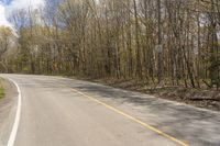 a wide open road with tall trees and no cars on it, with a traffic sign at the center