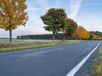 a empty rural road surrounded by green grass and trees, with the view of some trees that are in front