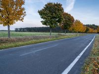 a empty rural road surrounded by green grass and trees, with the view of some trees that are in front