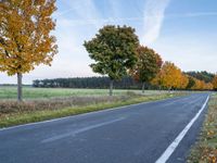 a empty rural road surrounded by green grass and trees, with the view of some trees that are in front