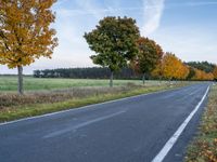 a empty rural road surrounded by green grass and trees, with the view of some trees that are in front