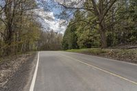 Lush Vegetation in Canada's Landscape