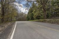 Lush Vegetation in Canada's Landscape