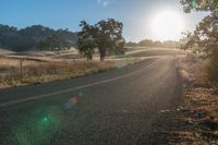 Lush Vegetation and Curving Road Surrounded by Natural Landscape