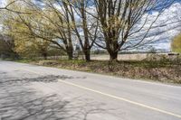 a paved road on a sunny day with no vehicles in sight as far as the trees are