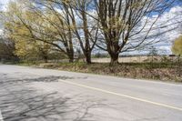 a paved road on a sunny day with no vehicles in sight as far as the trees are