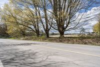 a paved road on a sunny day with no vehicles in sight as far as the trees are