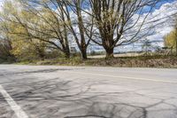 a paved road on a sunny day with no vehicles in sight as far as the trees are