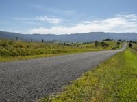 Lush Vegetation in Australia: Exploring the Mountain Landscape