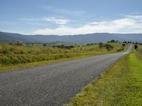 Lush Vegetation in Australia: Exploring the Mountain Landscape