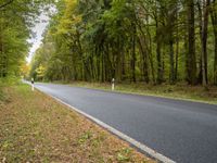 a man riding a motorcycle on a tree lined road in autumn colors, at a forest