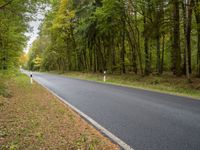 a man riding a motorcycle on a tree lined road in autumn colors, at a forest