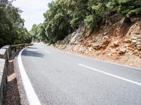 Lush Vegetation on a Road in Spain's Balearic Islands