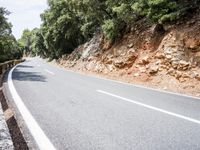 Lush Vegetation on a Road in Spain's Balearic Islands