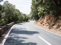 Lush Vegetation on a Road in Spain's Balearic Islands