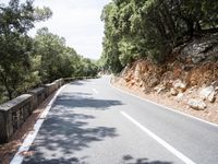 Lush Vegetation on a Road in Spain's Balearic Islands