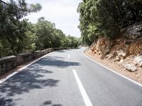 Lush Vegetation on a Road in Spain's Balearic Islands