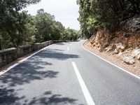 Lush Vegetation on a Road in Spain's Balearic Islands